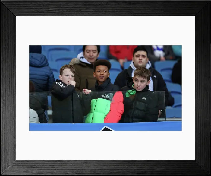 Framed Print : Brighton and Hove Albion v Everton Premier League 24FEB24