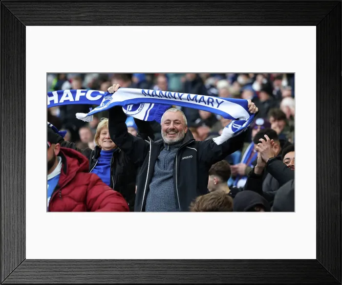 Framed Print : Brighton and Hove Albion v Everton Premier League 24FEB24