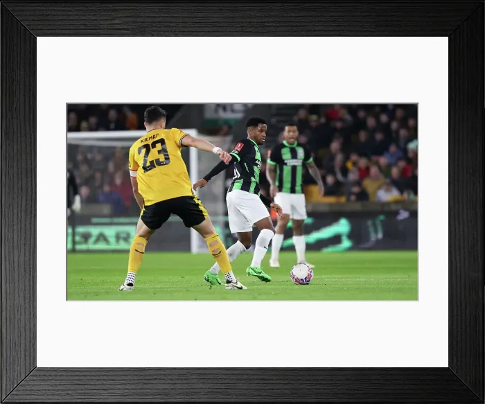 Framed Print : Wolverhampton Wanderers v Brighton and Hove Albion FA Cup 28FEB24 Framed Print : Wolverhampton Wanderers v Brighton and Hove Albion FA Cup 28FEB24