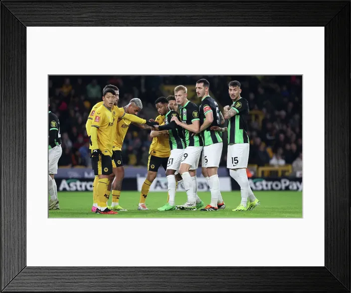 Framed Print : Wolverhampton Wanderers v Brighton and Hove Albion FA Cup 28FEB24