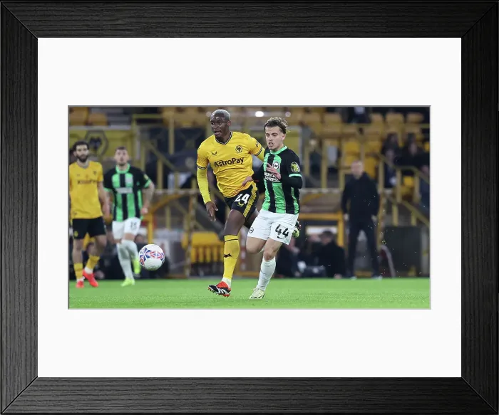 Framed Print : Wolverhampton Wanderers v Brighton and Hove Albion FA Cup 28FEB24 Framed Print : Wolverhampton Wanderers v Brighton and Hove Albion FA Cup 28FEB24