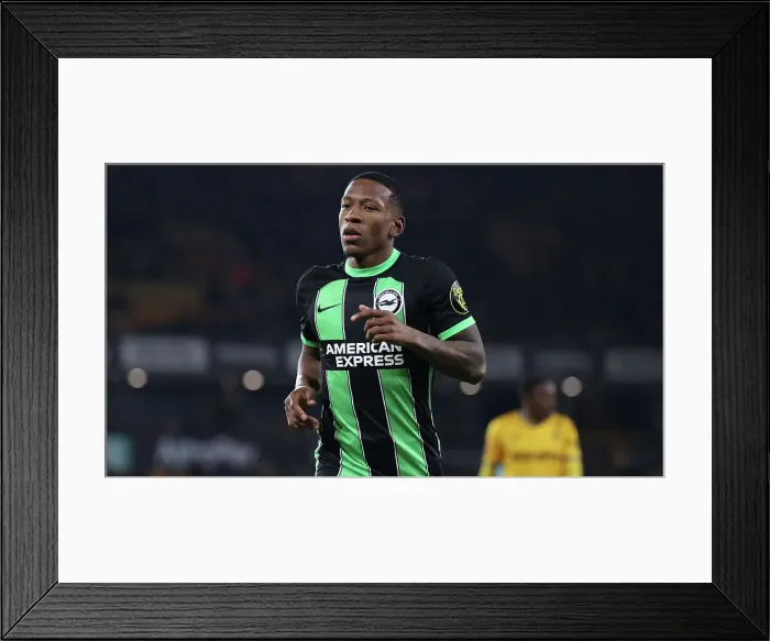 Framed Print : Wolverhampton Wanderers v Brighton and Hove Albion FA Cup 28FEB24