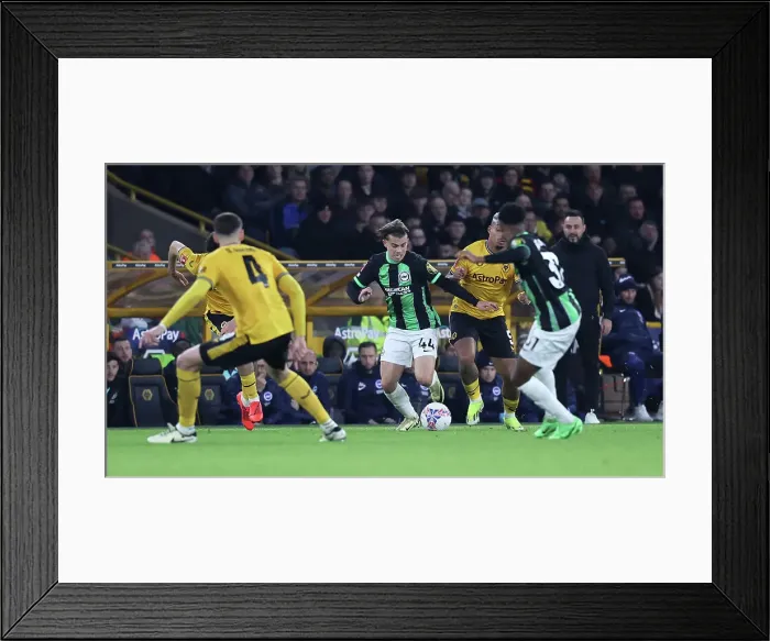 Framed Print : Wolverhampton Wanderers v Brighton and Hove Albion FA Cup 28FEB24 Framed Print : Wolverhampton Wanderers v Brighton and Hove Albion FA Cup 28FEB24