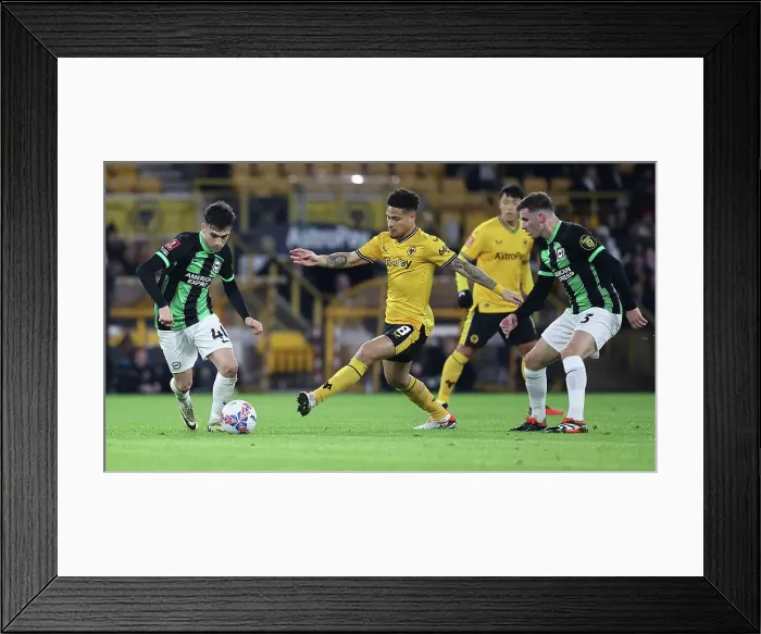 Framed Print : Wolverhampton Wanderers v Brighton and Hove Albion FA Cup 28FEB24