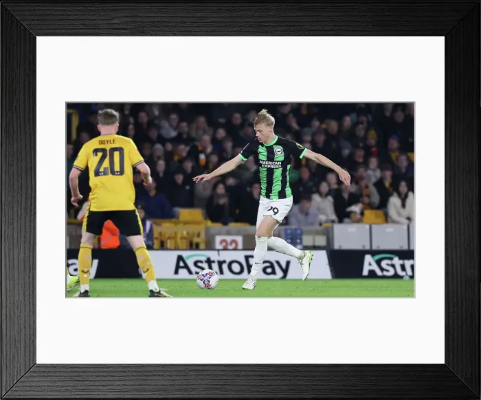 Framed Print : Wolverhampton Wanderers v Brighton and Hove Albion FA Cup 28FEB24 Framed Print : Wolverhampton Wanderers v Brighton and Hove Albion FA Cup 28FEB24
