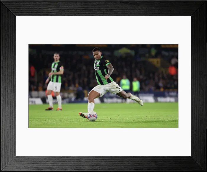 Framed Print : Wolverhampton Wanderers v Brighton and Hove Albion FA Cup 28FEB24 Framed Print : Wolverhampton Wanderers v Brighton and Hove Albion FA Cup 28FEB24