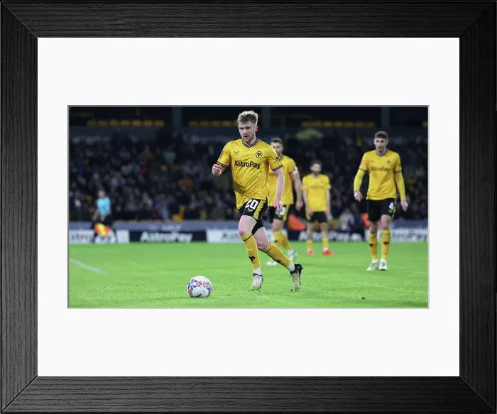 Framed Print : Wolverhampton Wanderers v Brighton and Hove Albion FA Cup 28FEB24 Framed Print : Wolverhampton Wanderers v Brighton and Hove Albion FA Cup 28FEB24