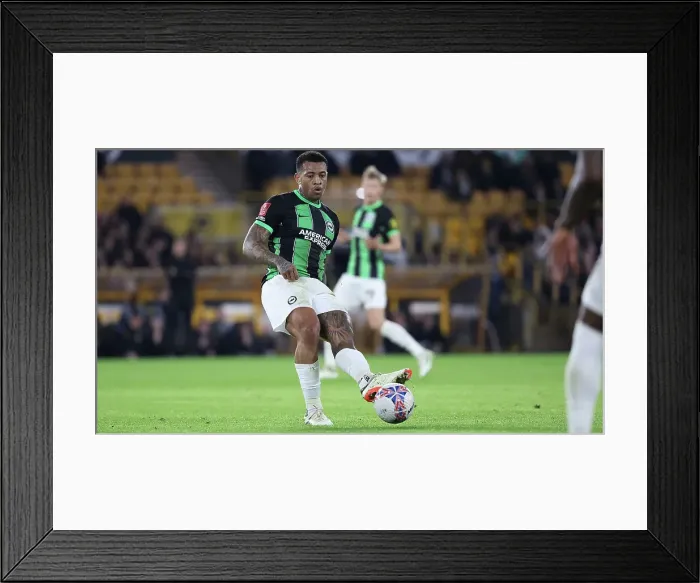 Framed Print : Wolverhampton Wanderers v Brighton and Hove Albion FA Cup 28FEB24 Framed Print : Wolverhampton Wanderers v Brighton and Hove Albion FA Cup 28FEB24