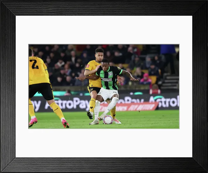 Framed Print : Wolverhampton Wanderers v Brighton and Hove Albion FA Cup 28FEB24 Framed Print : Wolverhampton Wanderers v Brighton and Hove Albion FA Cup 28FEB24