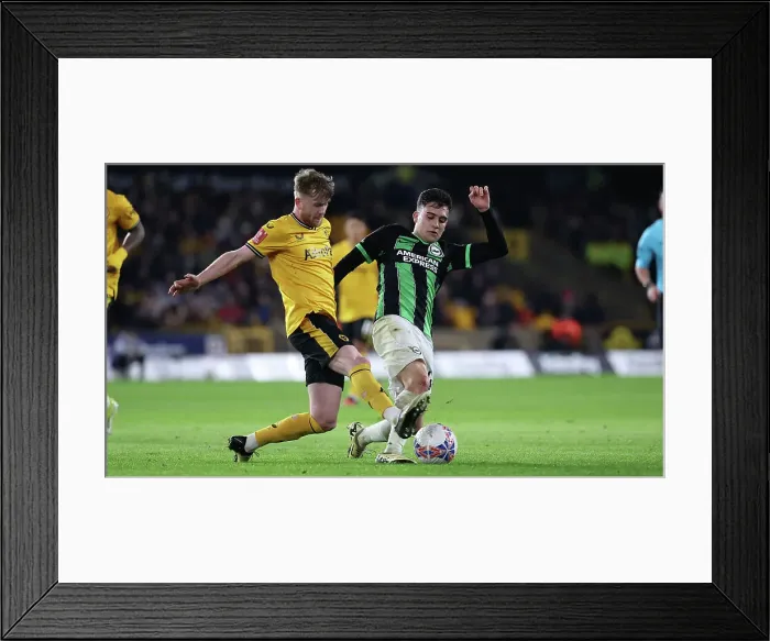 Framed Print : Wolverhampton Wanderers v Brighton and Hove Albion FA Cup 28FEB24 Framed Print : Wolverhampton Wanderers v Brighton and Hove Albion FA Cup 28FEB24