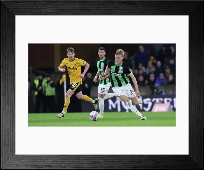 Framed Print : Wolverhampton Wanderers v Brighton and Hove Albion FA Cup 28FEB24 Framed Print : Wolverhampton Wanderers v Brighton and Hove Albion FA Cup 28FEB24