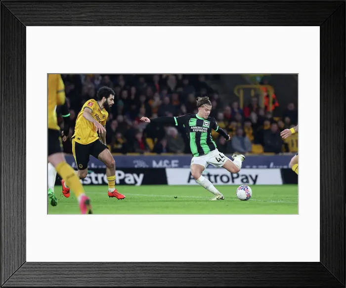 Framed Print : Wolverhampton Wanderers v Brighton and Hove Albion FA Cup 28FEB24