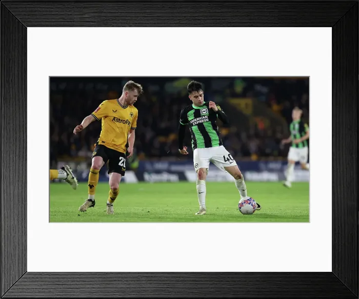 Framed Print : Wolverhampton Wanderers v Brighton and Hove Albion FA Cup 28FEB24 Framed Print : Wolverhampton Wanderers v Brighton and Hove Albion FA Cup 28FEB24