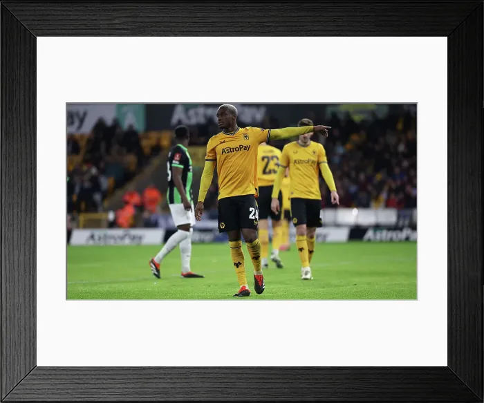 Framed Print : Wolverhampton Wanderers v Brighton and Hove Albion FA Cup 28FEB24 Framed Print : Wolverhampton Wanderers v Brighton and Hove Albion FA Cup 28FEB24