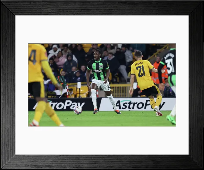 Framed Print : Wolverhampton Wanderers v Brighton and Hove Albion FA Cup 28FEB24