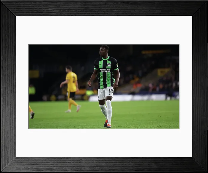 Framed Print : Wolverhampton Wanderers v Brighton and Hove Albion FA Cup 28FEB24 Framed Print : Wolverhampton Wanderers v Brighton and Hove Albion FA Cup 28FEB24