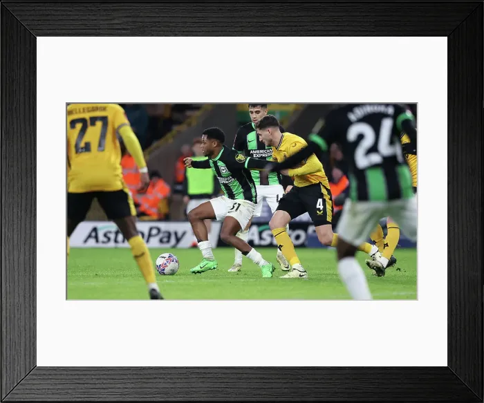 Framed Print : Wolverhampton Wanderers v Brighton and Hove Albion FA Cup 28FEB24 Framed Print : Wolverhampton Wanderers v Brighton and Hove Albion FA Cup 28FEB24