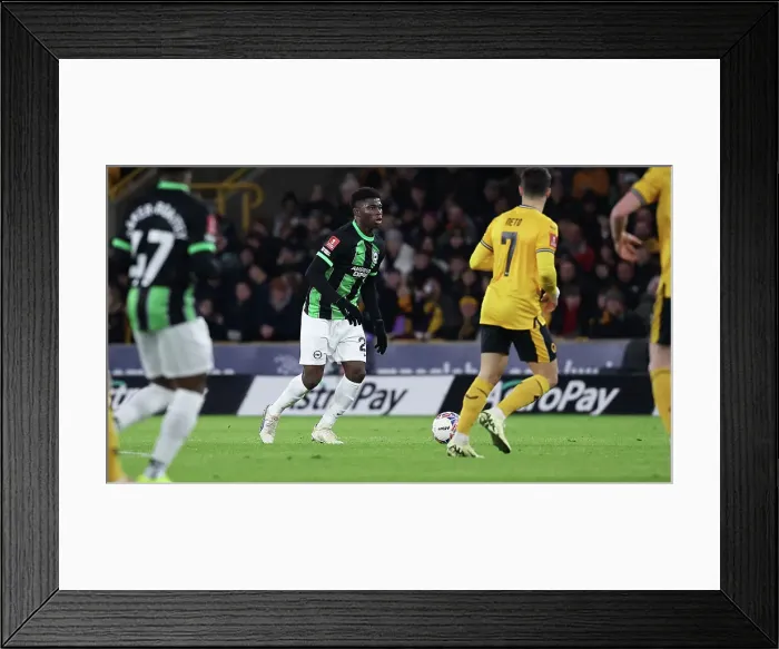 Framed Print : Wolverhampton Wanderers v Brighton and Hove Albion FA Cup 28FEB24 Framed Print : Wolverhampton Wanderers v Brighton and Hove Albion FA Cup 28FEB24