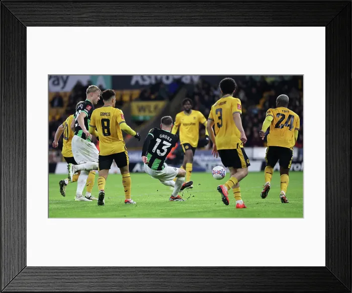 Framed Print : Wolverhampton Wanderers v Brighton and Hove Albion FA Cup 28FEB24 Framed Print : Wolverhampton Wanderers v Brighton and Hove Albion FA Cup 28FEB24