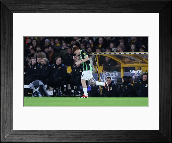 Framed Print : Wolverhampton Wanderers v Brighton and Hove Albion FA Cup 28FEB24 Framed Print : Wolverhampton Wanderers v Brighton and Hove Albion FA Cup 28FEB24