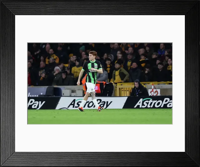 Framed Print : Wolverhampton Wanderers v Brighton and Hove Albion FA Cup 28FEB24 Framed Print : Wolverhampton Wanderers v Brighton and Hove Albion FA Cup 28FEB24