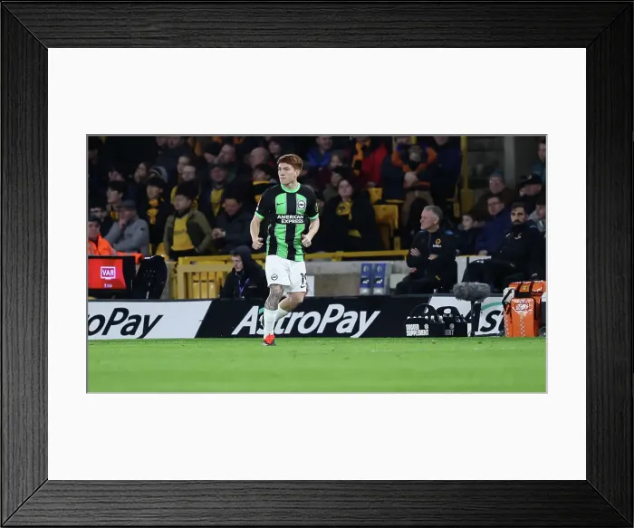 Framed Print : Wolverhampton Wanderers v Brighton and Hove Albion FA Cup 28FEB24 Framed Print : Wolverhampton Wanderers v Brighton and Hove Albion FA Cup 28FEB24
