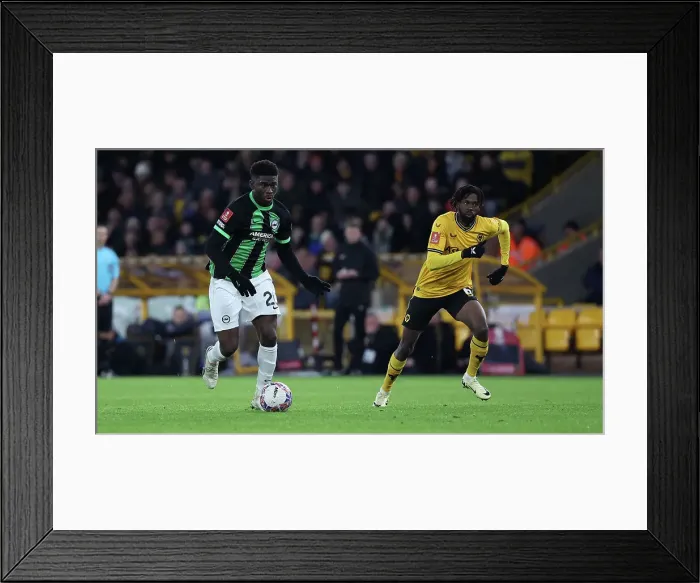 Framed Print : Wolverhampton Wanderers v Brighton and Hove Albion FA Cup 28FEB24 Framed Print : Wolverhampton Wanderers v Brighton and Hove Albion FA Cup 28FEB24