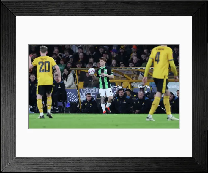 Framed Print : Wolverhampton Wanderers v Brighton and Hove Albion FA Cup 28FEB24 Framed Print : Wolverhampton Wanderers v Brighton and Hove Albion FA Cup 28FEB24
