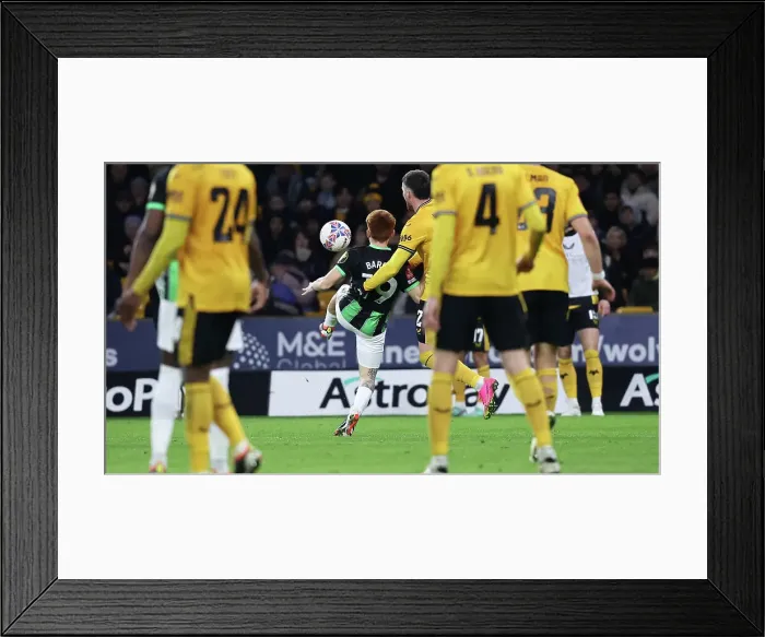 Framed Print : Wolverhampton Wanderers v Brighton and Hove Albion FA Cup 28FEB24 Framed Print : Wolverhampton Wanderers v Brighton and Hove Albion FA Cup 28FEB24