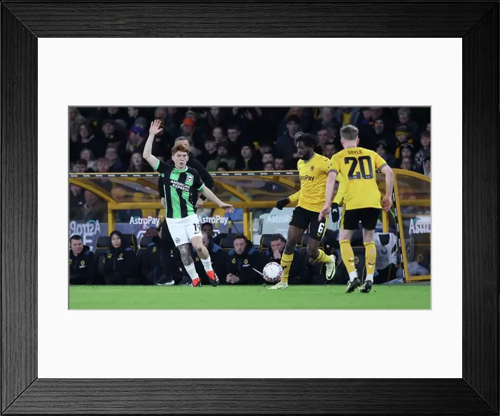 Framed Print : Wolverhampton Wanderers v Brighton and Hove Albion FA Cup 28FEB24 Framed Print : Wolverhampton Wanderers v Brighton and Hove Albion FA Cup 28FEB24