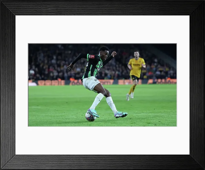 Framed Print : Wolverhampton Wanderers v Brighton and Hove Albion FA Cup 28FEB24 Framed Print : Wolverhampton Wanderers v Brighton and Hove Albion FA Cup 28FEB24