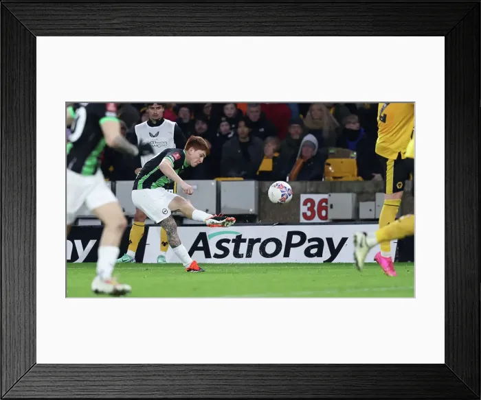 Framed Print : Wolverhampton Wanderers v Brighton and Hove Albion FA Cup 28FEB24 Framed Print : Wolverhampton Wanderers v Brighton and Hove Albion FA Cup 28FEB24