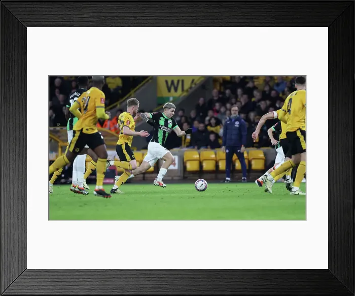 Framed Print : Wolverhampton Wanderers v Brighton and Hove Albion FA Cup 28FEB24 Framed Print : Wolverhampton Wanderers v Brighton and Hove Albion FA Cup 28FEB24