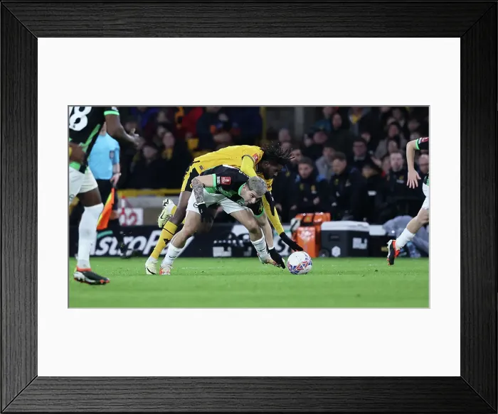 Framed Print : Wolverhampton Wanderers v Brighton and Hove Albion FA Cup 28FEB24 Framed Print : Wolverhampton Wanderers v Brighton and Hove Albion FA Cup 28FEB24