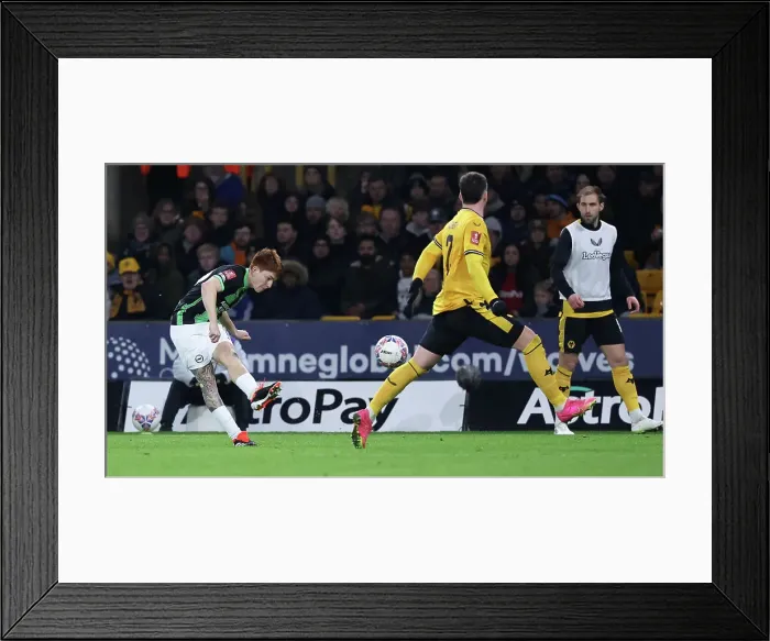 Framed Print : Wolverhampton Wanderers v Brighton and Hove Albion FA Cup 28FEB24 Framed Print : Wolverhampton Wanderers v Brighton and Hove Albion FA Cup 28FEB24