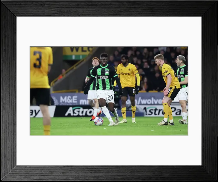 Framed Print : Wolverhampton Wanderers v Brighton and Hove Albion FA Cup 28FEB24 Framed Print : Wolverhampton Wanderers v Brighton and Hove Albion FA Cup 28FEB24