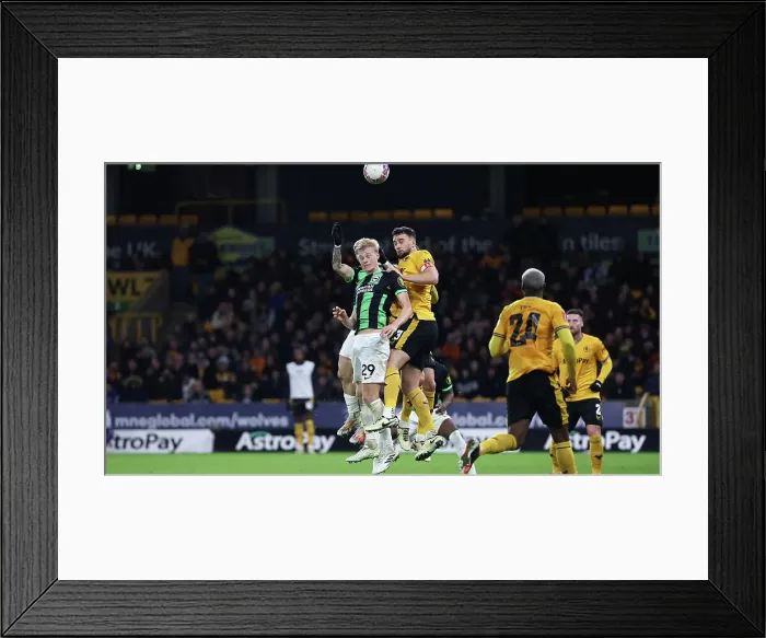 Framed Print : Wolverhampton Wanderers v Brighton and Hove Albion FA Cup 28FEB24 Framed Print : Wolverhampton Wanderers v Brighton and Hove Albion FA Cup 28FEB24