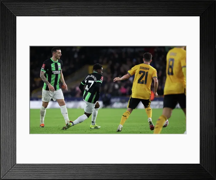Framed Print : Wolverhampton Wanderers v Brighton and Hove Albion FA Cup 28FEB24 Framed Print : Wolverhampton Wanderers v Brighton and Hove Albion FA Cup 28FEB24
