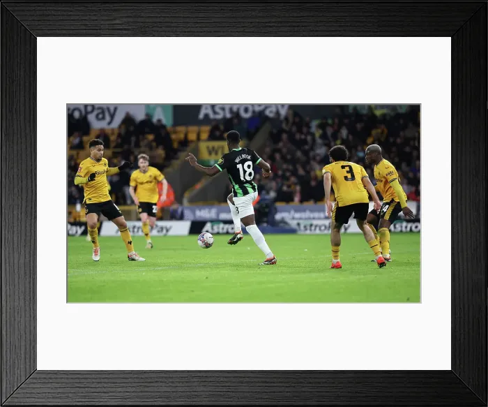 Framed Print : Wolverhampton Wanderers v Brighton and Hove Albion FA Cup 28FEB24 Framed Print : Wolverhampton Wanderers v Brighton and Hove Albion FA Cup 28FEB24