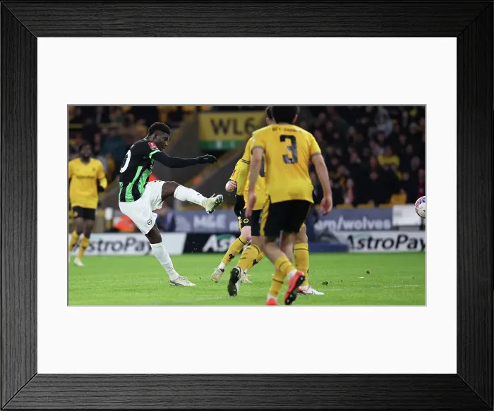 Framed Print : Wolverhampton Wanderers v Brighton and Hove Albion FA Cup 28FEB24 Framed Print : Wolverhampton Wanderers v Brighton and Hove Albion FA Cup 28FEB24