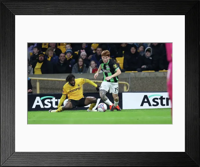 Framed Print : Wolverhampton Wanderers v Brighton and Hove Albion FA Cup 28FEB24 Framed Print : Wolverhampton Wanderers v Brighton and Hove Albion FA Cup 28FEB24