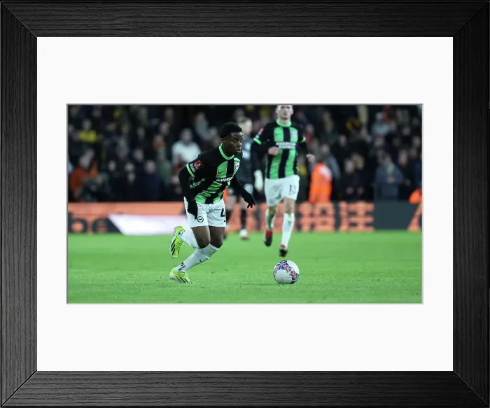 Framed Print : Wolverhampton Wanderers v Brighton and Hove Albion FA Cup 28FEB24 Framed Print : Wolverhampton Wanderers v Brighton and Hove Albion FA Cup 28FEB24