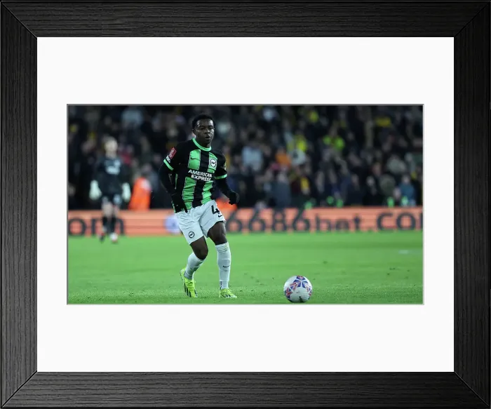 Framed Print : Wolverhampton Wanderers v Brighton and Hove Albion FA Cup 28FEB24 Framed Print : Wolverhampton Wanderers v Brighton and Hove Albion FA Cup 28FEB24
