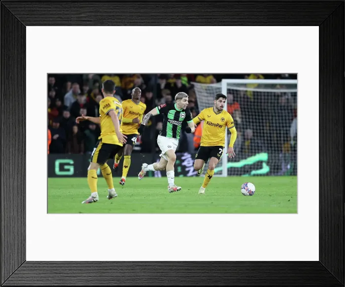 Framed Print : Wolverhampton Wanderers v Brighton and Hove Albion FA Cup 28FEB24 Framed Print : Wolverhampton Wanderers v Brighton and Hove Albion FA Cup 28FEB24