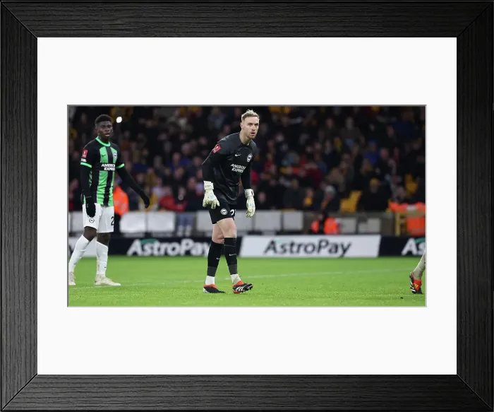 Framed Print : Wolverhampton Wanderers v Brighton and Hove Albion FA Cup 28FEB24 Framed Print : Wolverhampton Wanderers v Brighton and Hove Albion FA Cup 28FEB24