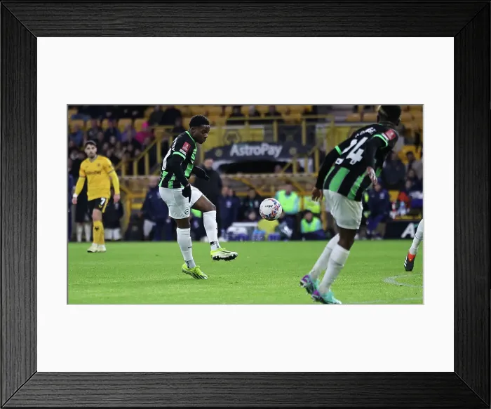 Framed Print : Wolverhampton Wanderers v Brighton and Hove Albion FA Cup 28FEB24 Framed Print : Wolverhampton Wanderers v Brighton and Hove Albion FA Cup 28FEB24