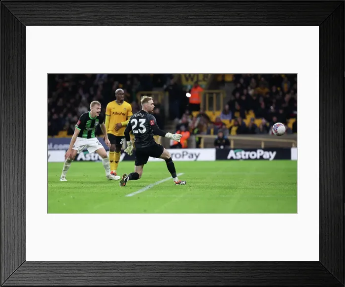 Framed Print : Wolverhampton Wanderers v Brighton and Hove Albion FA Cup 28FEB24 Framed Print : Wolverhampton Wanderers v Brighton and Hove Albion FA Cup 28FEB24
