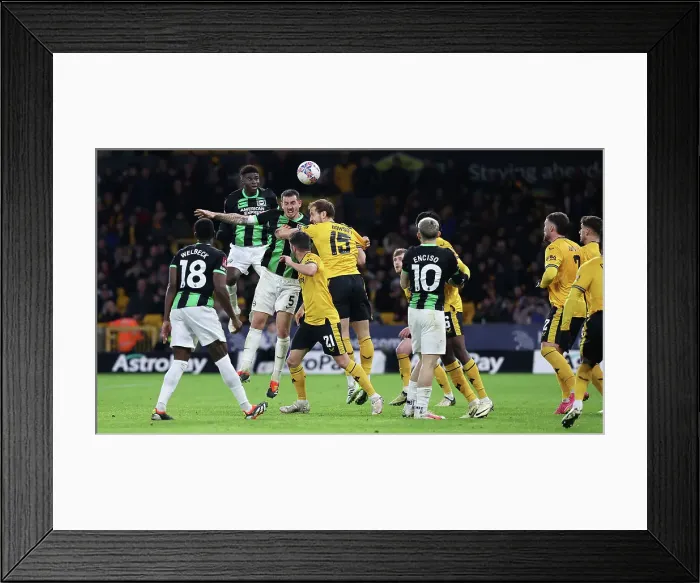 Framed Print : Wolverhampton Wanderers v Brighton and Hove Albion FA Cup 28FEB24 Framed Print : Wolverhampton Wanderers v Brighton and Hove Albion FA Cup 28FEB24