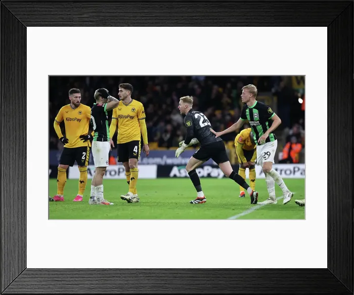 Framed Print : Wolverhampton Wanderers v Brighton and Hove Albion FA Cup 28FEB24 Framed Print : Wolverhampton Wanderers v Brighton and Hove Albion FA Cup 28FEB24