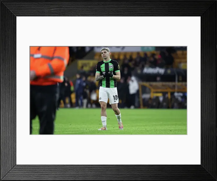 Framed Print : Wolverhampton Wanderers v Brighton and Hove Albion FA Cup 28FEB24 Framed Print : Wolverhampton Wanderers v Brighton and Hove Albion FA Cup 28FEB24